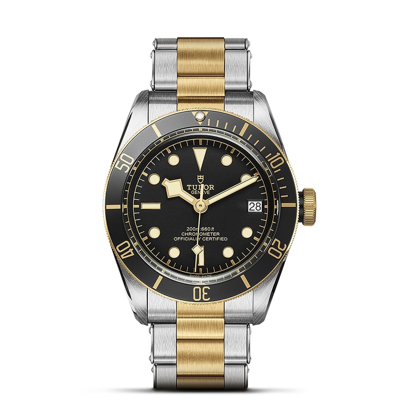 TUDOR Black Bay S&G 41mm Chronometer Yellow Gold and Steel Automatic Watch M79733N-0008