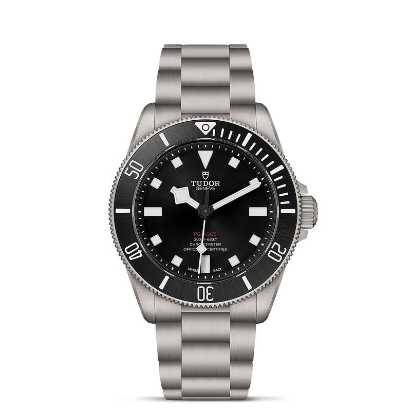 TUDOR Pelagos 39mm Titanium Automatic Watch M25407N-0001
