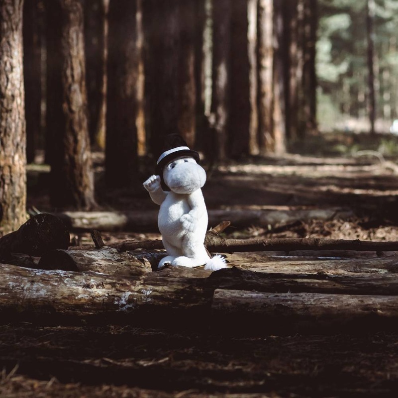 Moominpappa Decoration Plush Toy