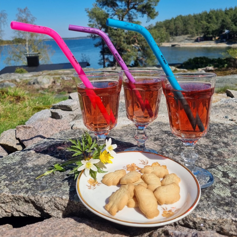 Moomin Drinking Straw 3-set XL