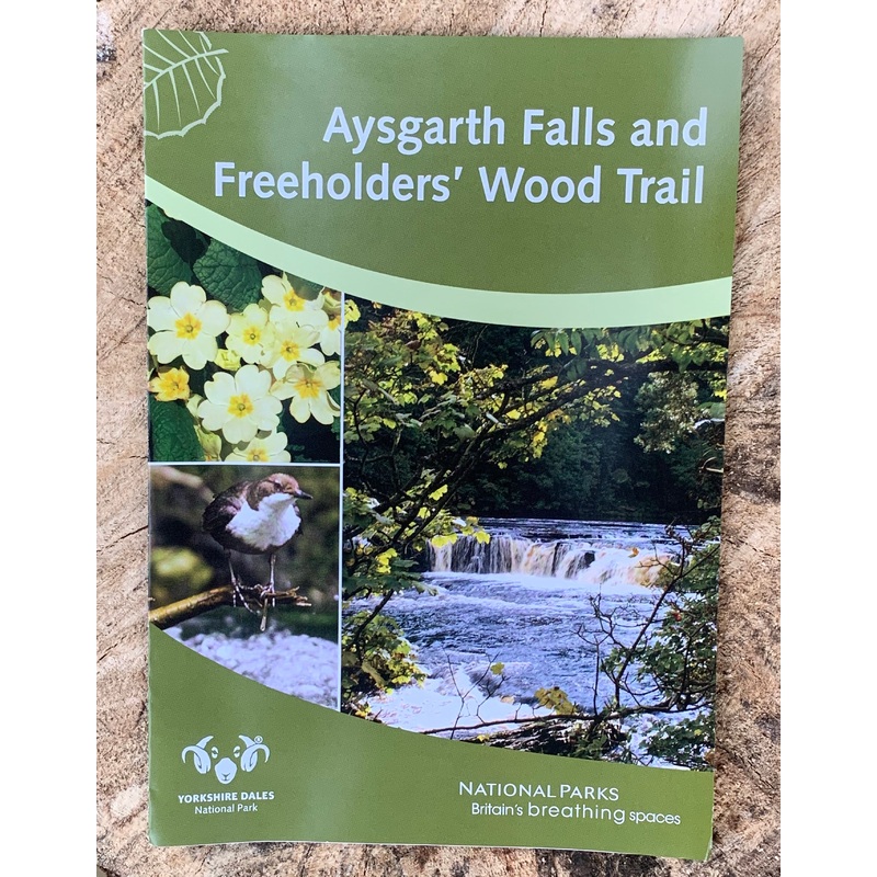 Aysgarth Falls & Freeholders Wood Trail