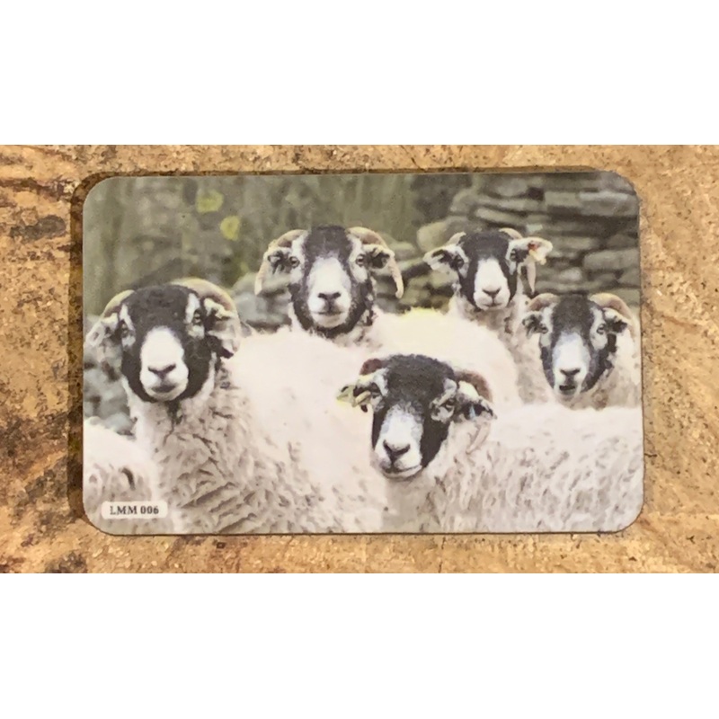 Swaledale Fridge Magnet