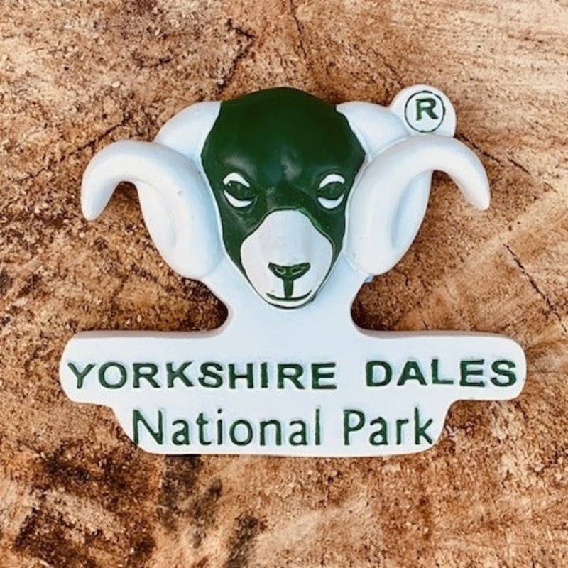 YDNPA Logo Magnet