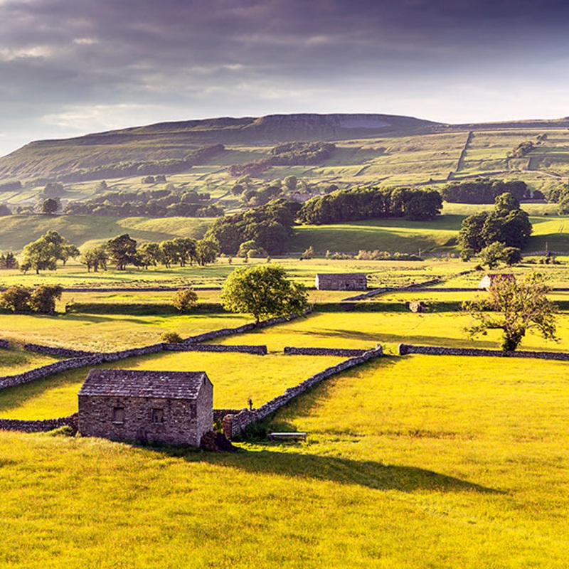 Barn Wensleydale Card – David Tarn Photography