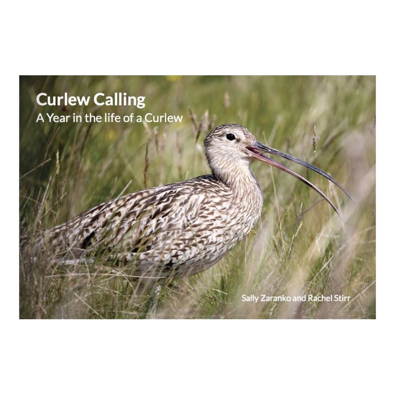 Curlew Calling.  A year in the life of a Curlew.  By Sally Zaranko and Rachel Stirr.