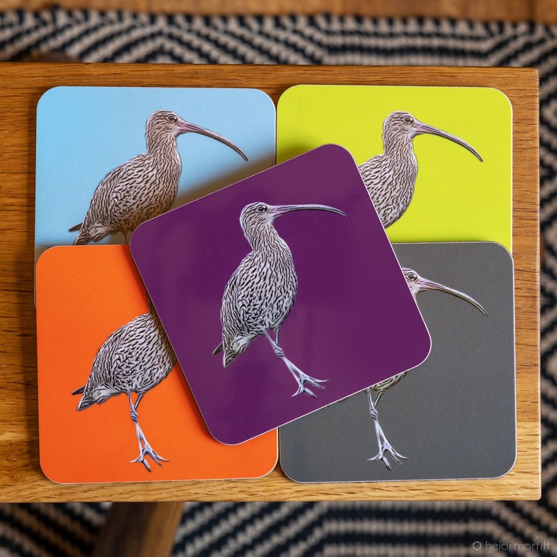 Curlew Coaster|Aubergine|Marmalade|Lime|Sky Blue|Grey