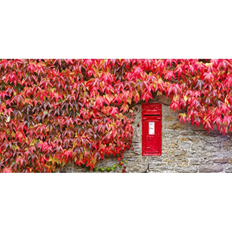 Dales Mail Card- by Mark Denton Photography