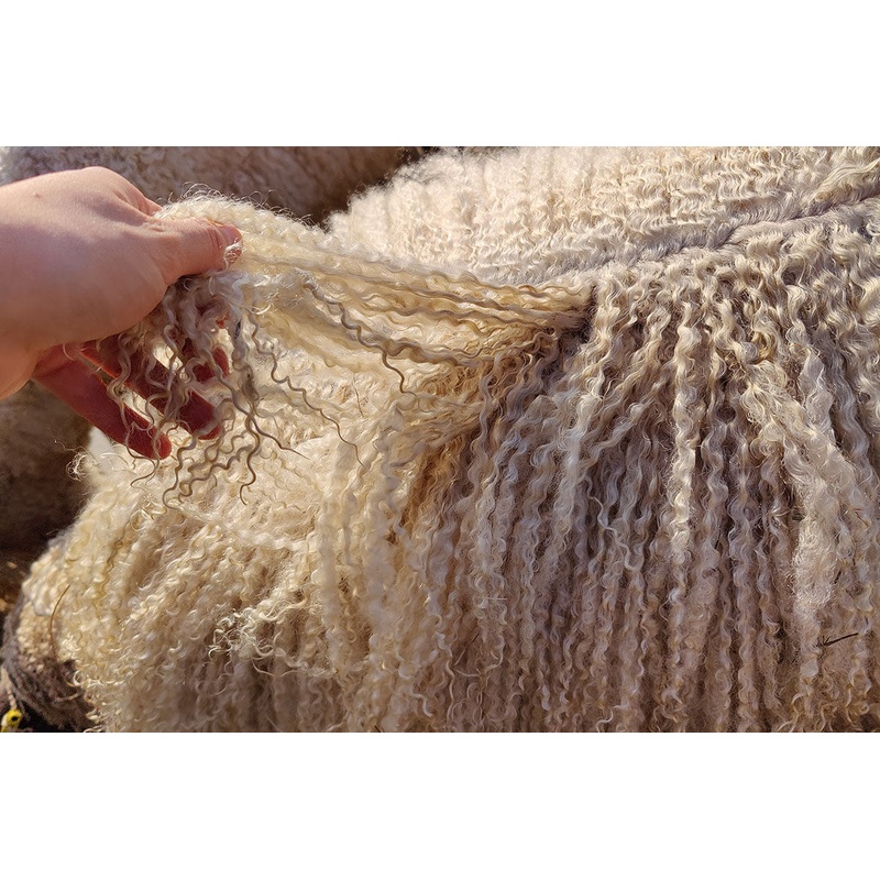 DCM Events – Weave your own Wensleydale – Saturday 20 September