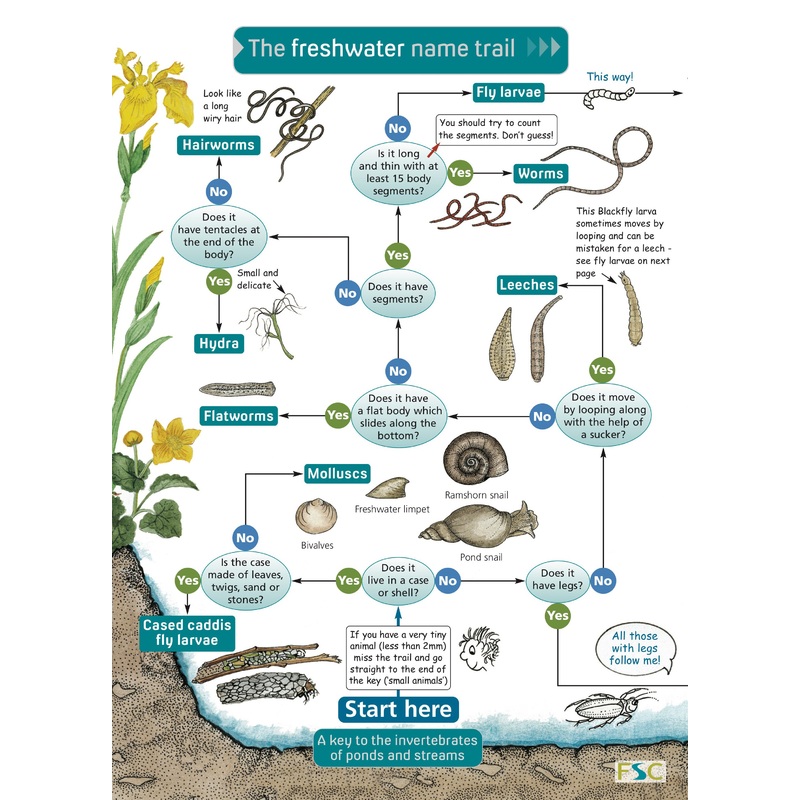 Freshwater Name Trail – FSC