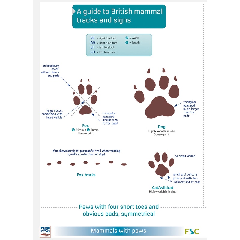 Guide to Mammals Tracks and Signs- FSC