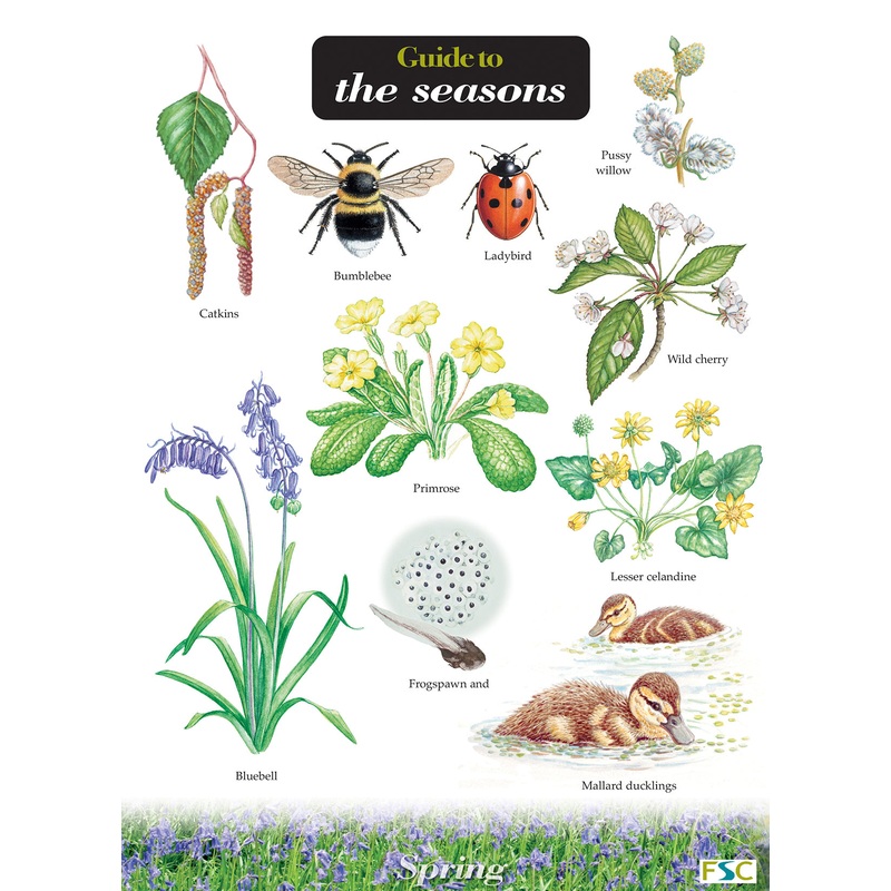 Guide to the Seasons- FSC