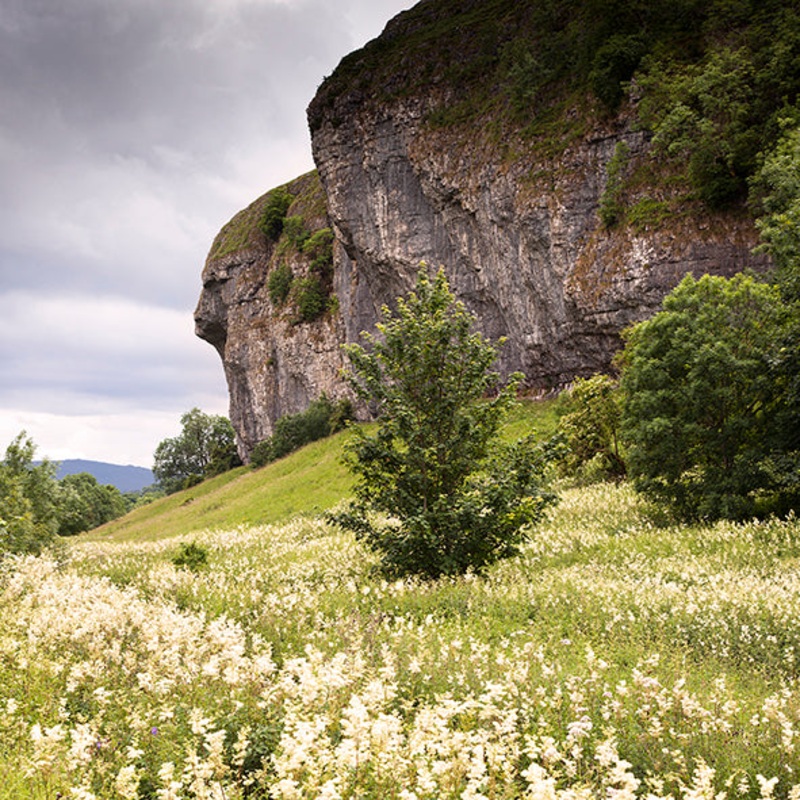 Kilnsey Crag Card – David Tarn Photography