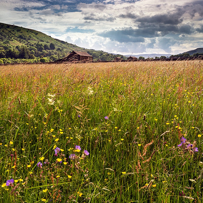 Swaledale Barn, Gunnerside Card – David Tarn Photography