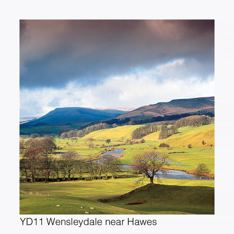 Wensleydale near Hawes Card – David Tarn Photography