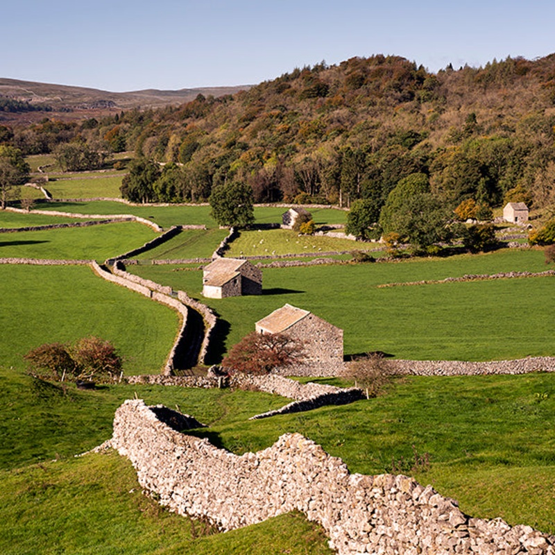 Wharfedale Card – David Tarn Photography