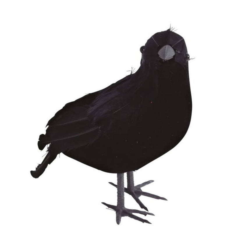 Fake Crow Prop