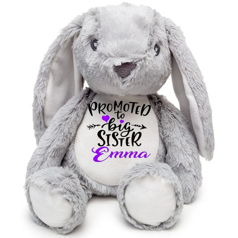 Personalised PROMOTED TO BIG SISTER Teddy-Bunny