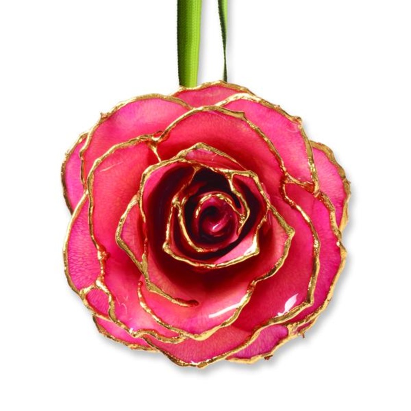 24K Gold Trim Pink Rose