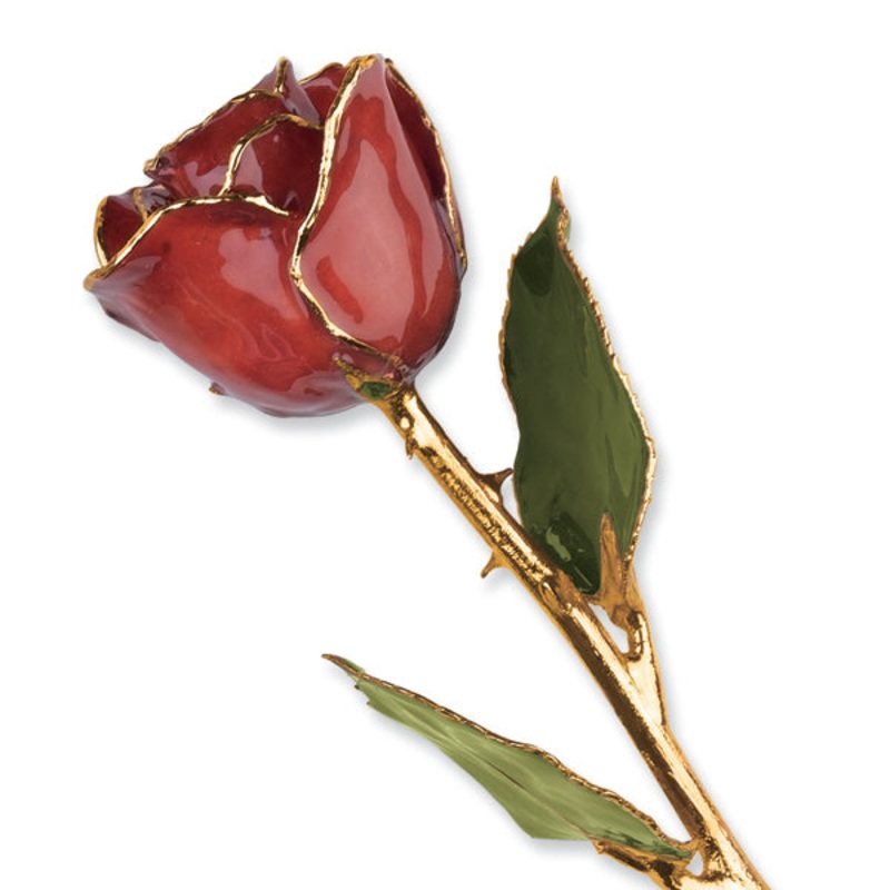 Gold Trim Cinnamon Pearl Rose
