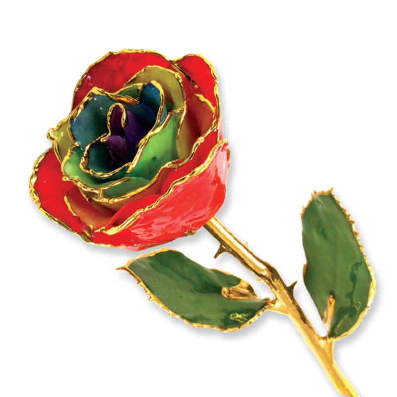 Gold Trim Gypsy Rainbow Rose