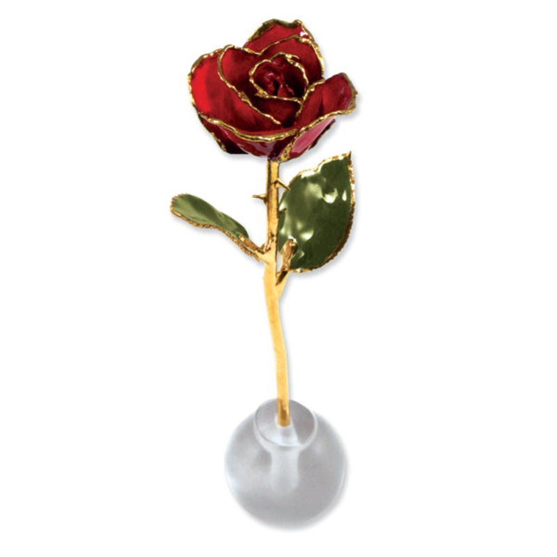 Gold Trim Knob Stand Red Spring Rose Set