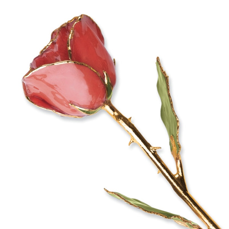 Gold Trim Sonia Pearl Rose