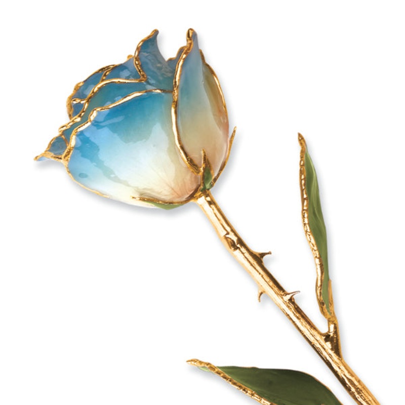Gold Trim White And Navy Blue Pearl Rose