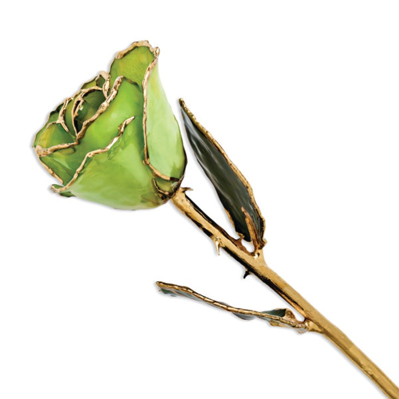 Gold Trimmed Peridot/Topaz Rose