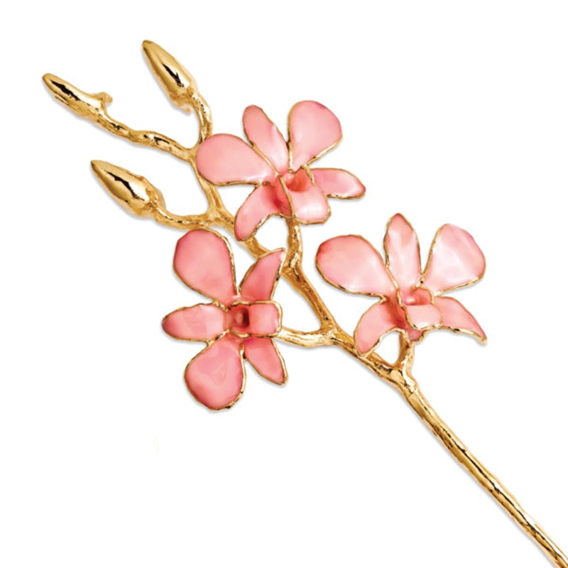 Gold Trimmed Pink Orchid Stem
