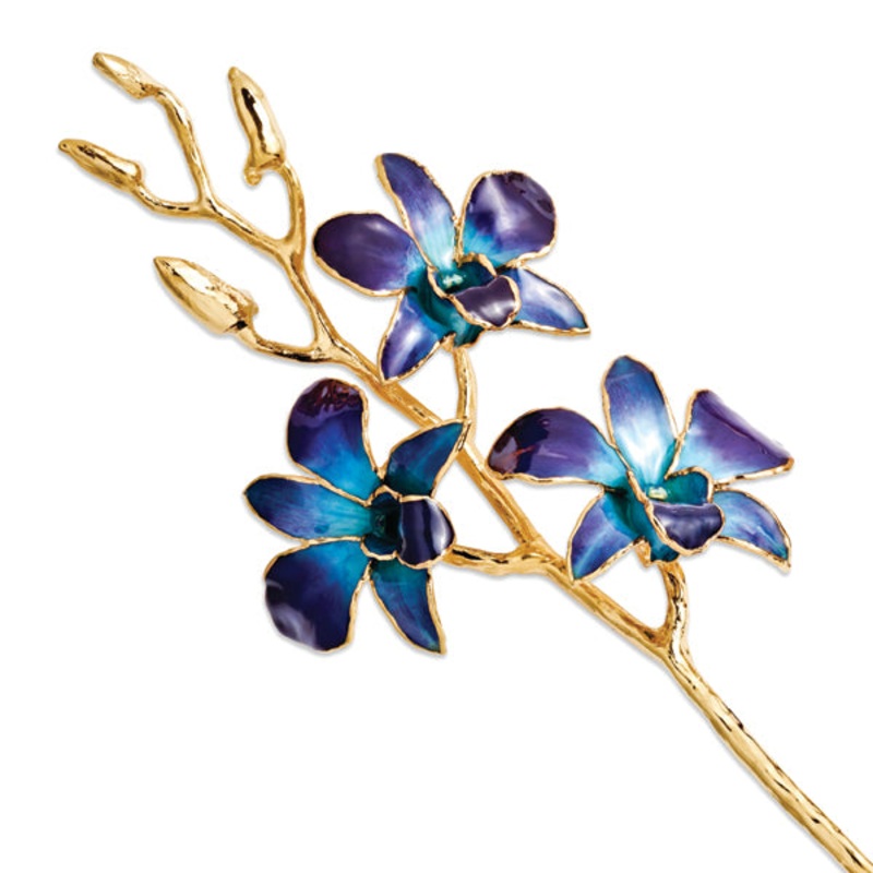 Gold Trimmed Purple/Blue Orchid Stem