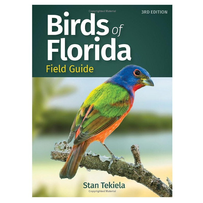 Birds of Florida Field Guide