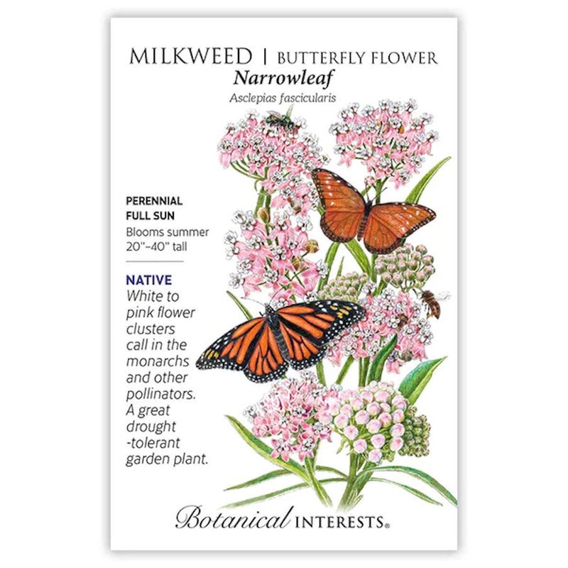 Milkweed – Narrowleaf