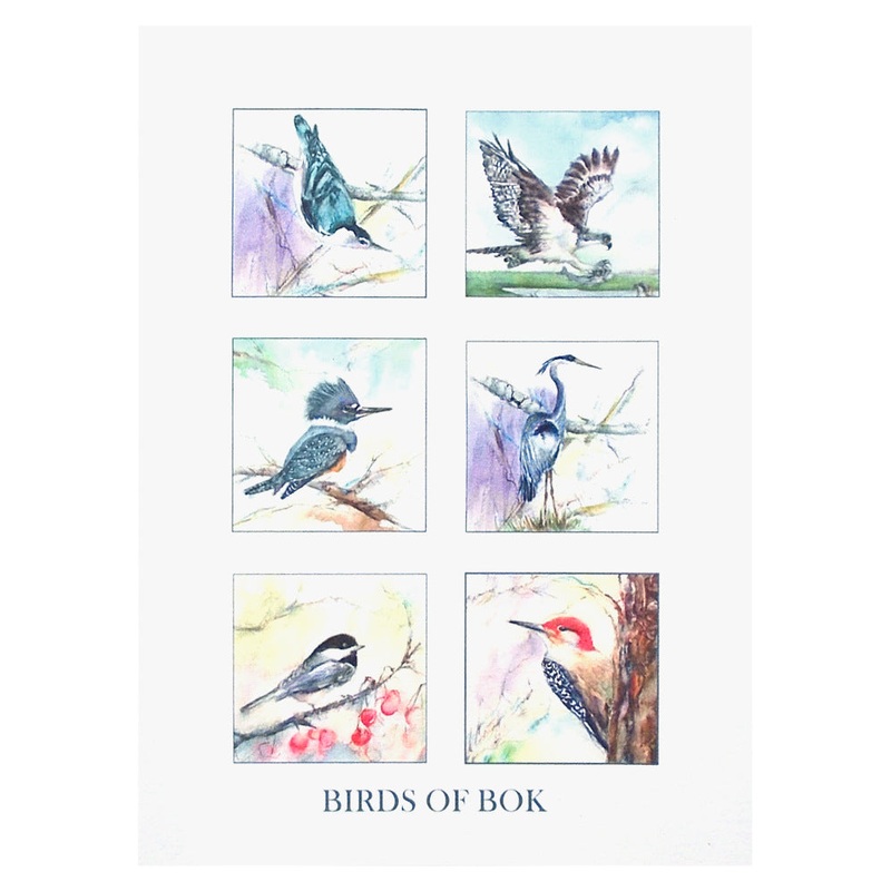 Notecard Pack – Birds of Bok