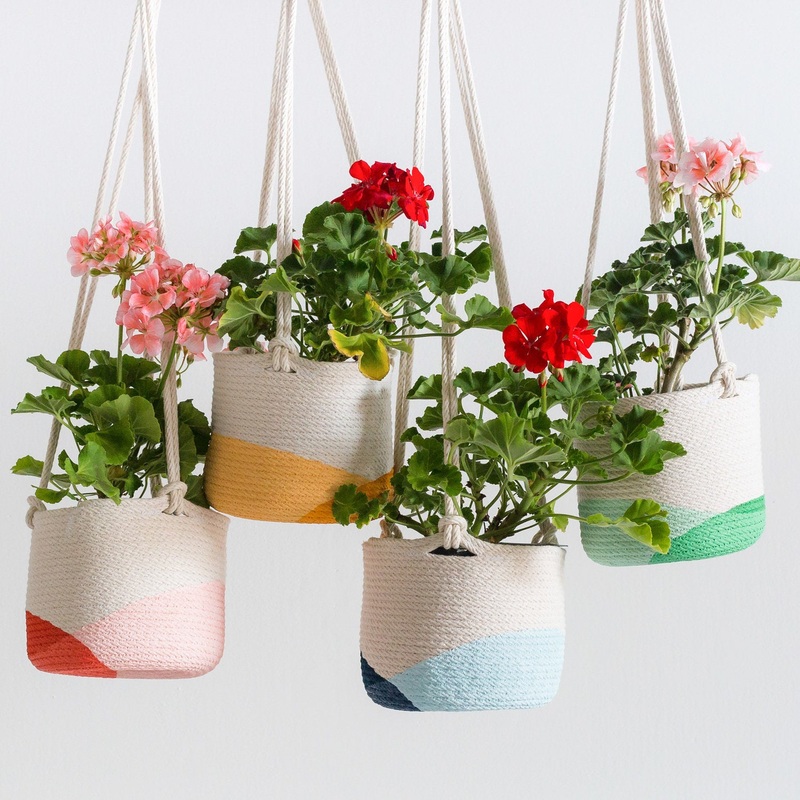 Closed Mondays Hanging Planter