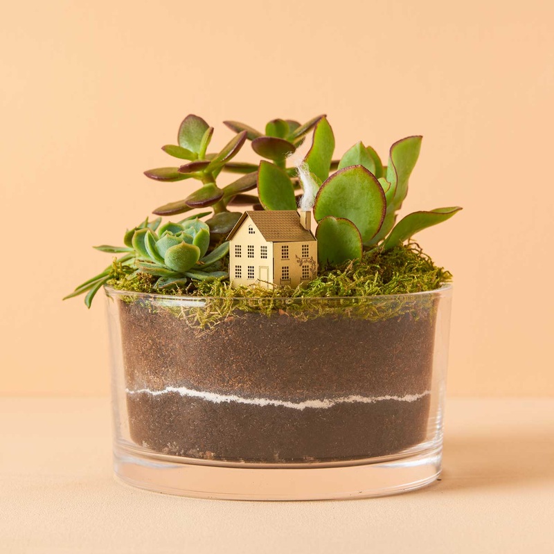 House Mini Model – Terrarium Decor DIY Kit