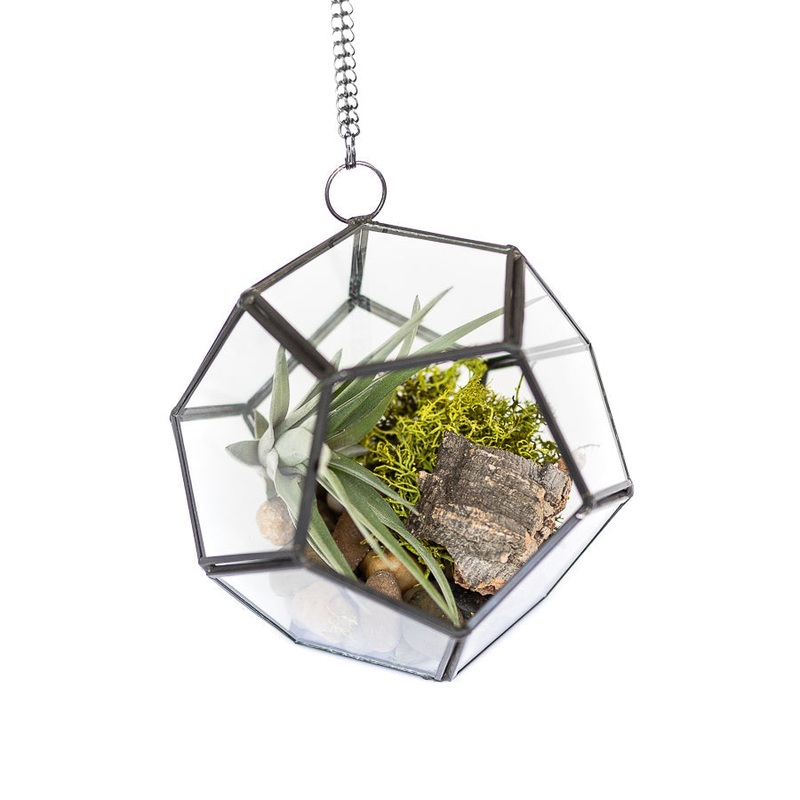 DIY Glass Pentagon Terrarium|Yes (+$3.95)|No|Yes (+$3.95)|No