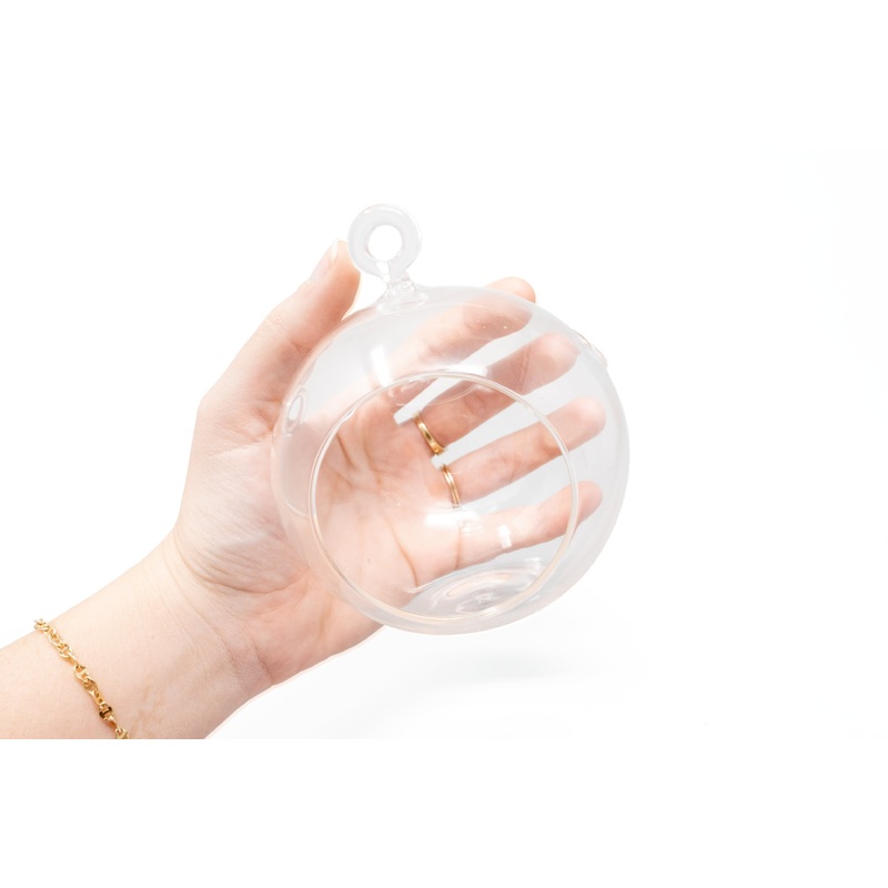 Hanging Globe Terrarium with Flat Bottom