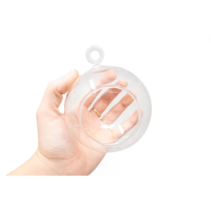 Hanging Round Bottom Glass Terrariums