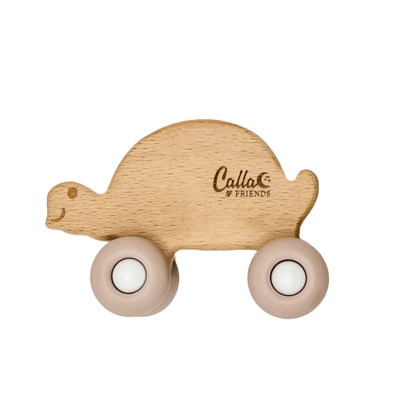 Beechwood Rollin Friends – Turtle