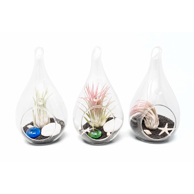 Set of 3 Teardrop Beach Terrariums with Black Sand