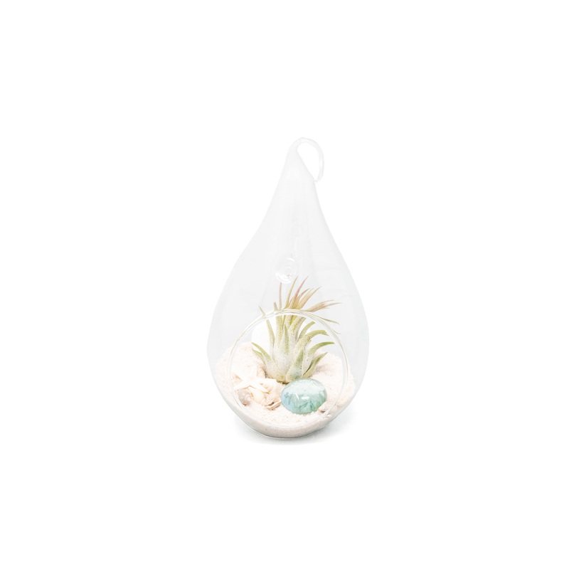 Teardrop Beach Terrarium with White Sand