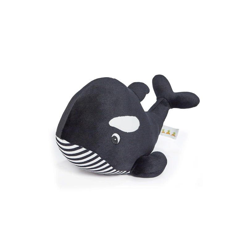 Orca Whale