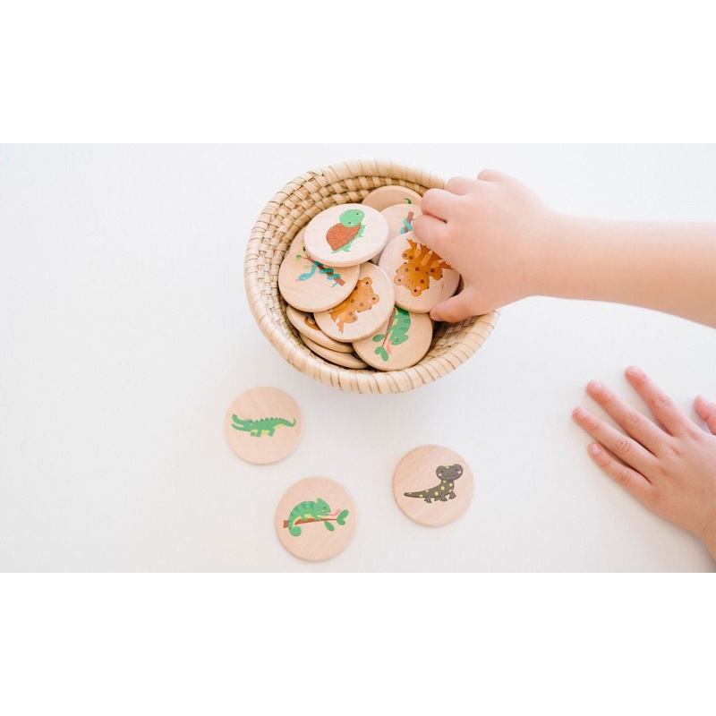 Reptiles Matching Tiles