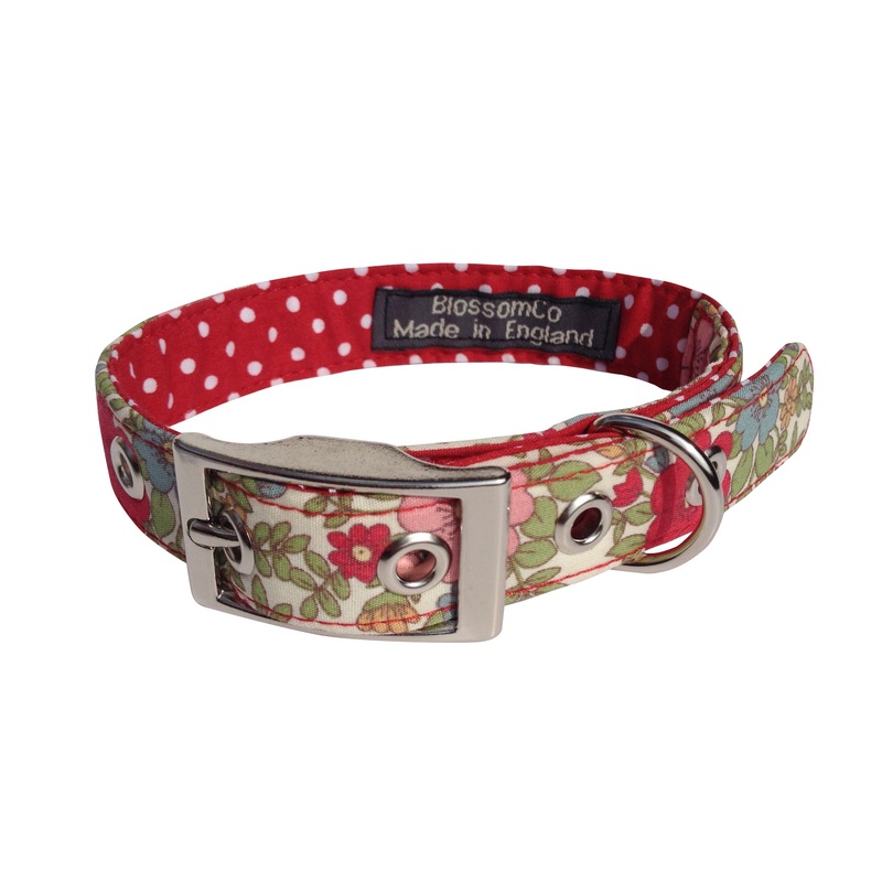 Alice – Dog Collar|X-Small|Small|Medium|Large