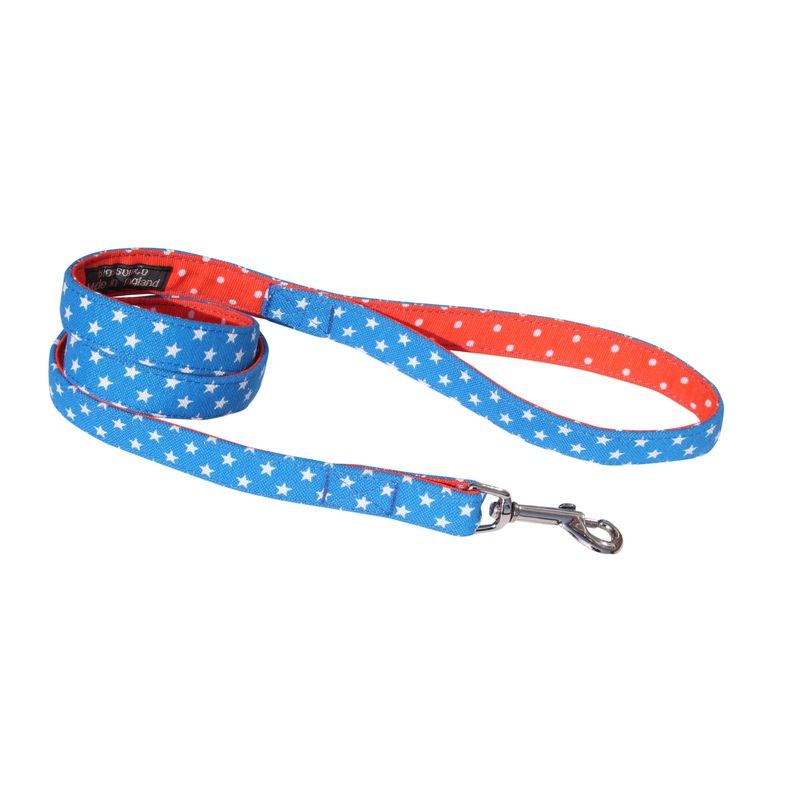 Apollo – Dog Lead