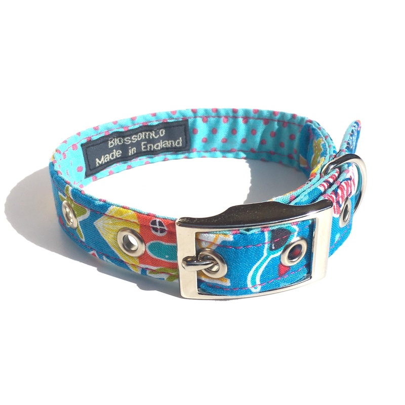 Beach Time – Dog Collar|X-Small|Small|Medium|Large