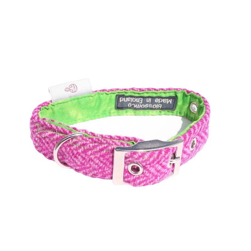 Benbecula – Harris Tweed Dog Collar