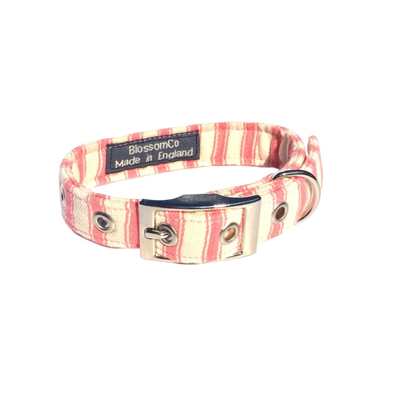 Bennet – Pink Ticking Dog Collar