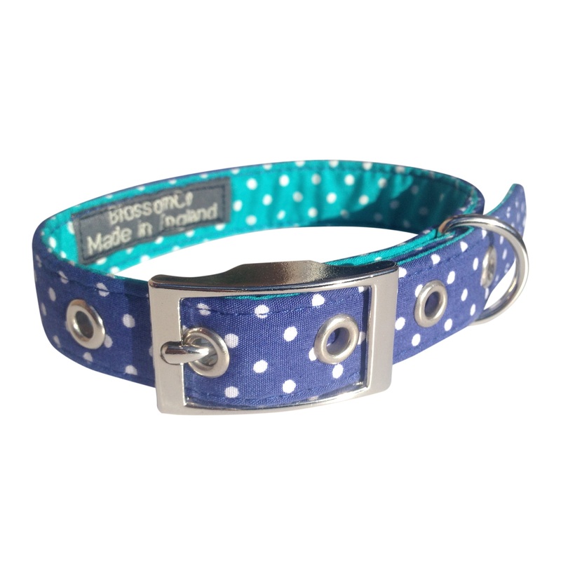 Bertie – Blue Polka Dot Dog Collar