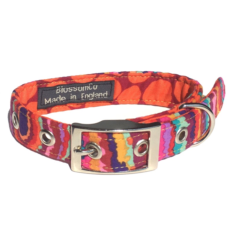 Calypso – Funky Dog Collar|X-Small|Small|Medium|Large